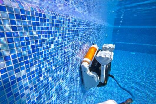 Robot pulitore piscine Maytronics dolphin explorer5