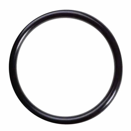 Single Black O ring